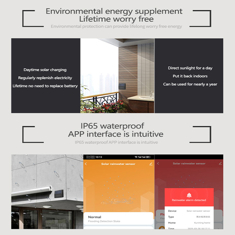 Tuya Zigbee Regensensor Echtze – Home Automation Tutorial Bewertung und Preis
