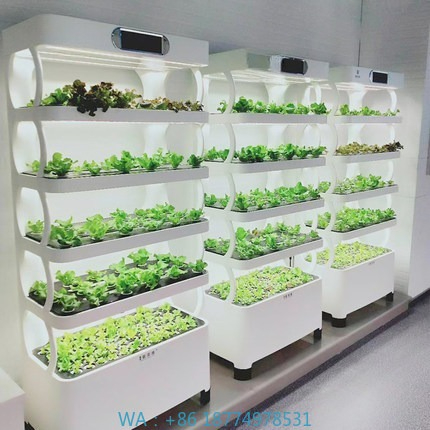 Iydroponic Automated Grow Syst – Home Automation Systems Diy Bewertung und Preis
